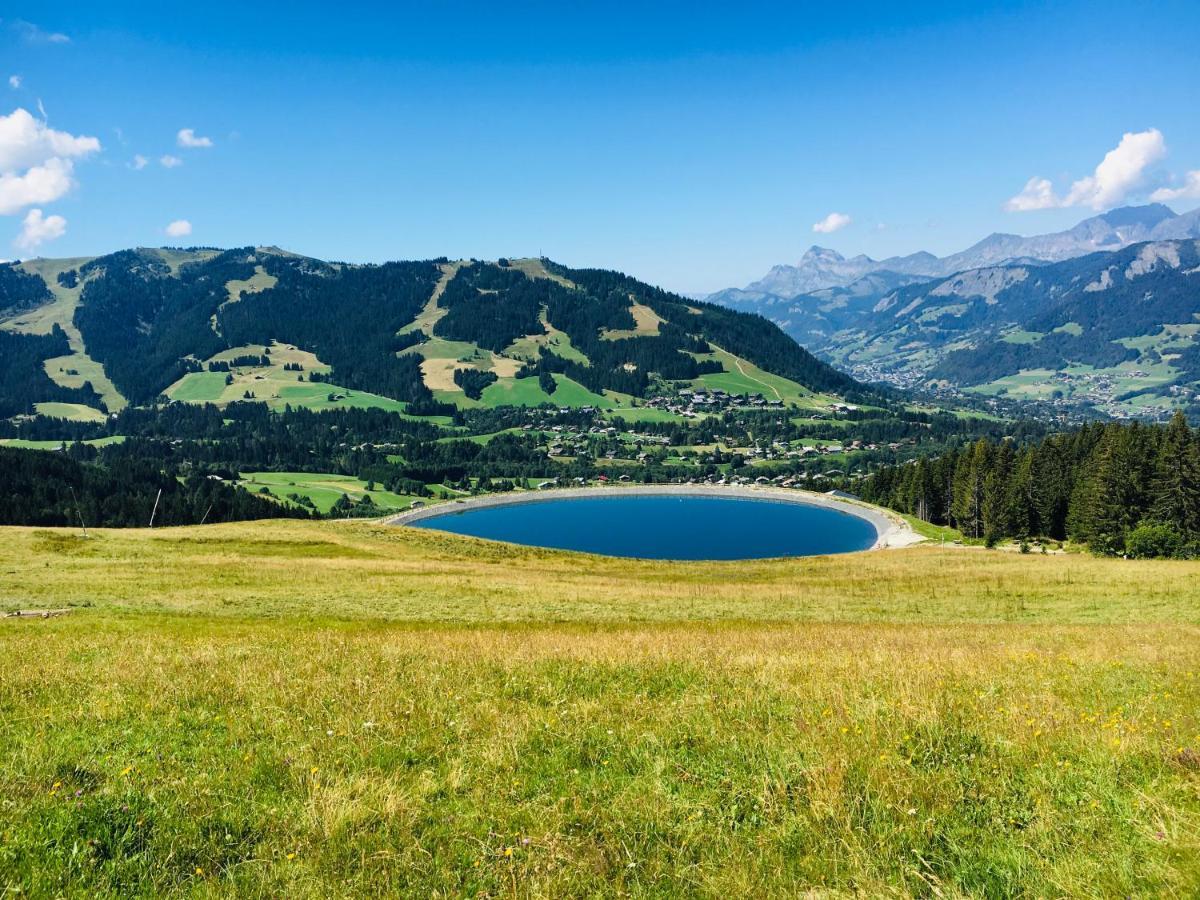Le Hameau Des Neiges Apartamento Praz-sur-Arly Exterior foto